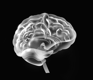 Illustration of  human brain on black background