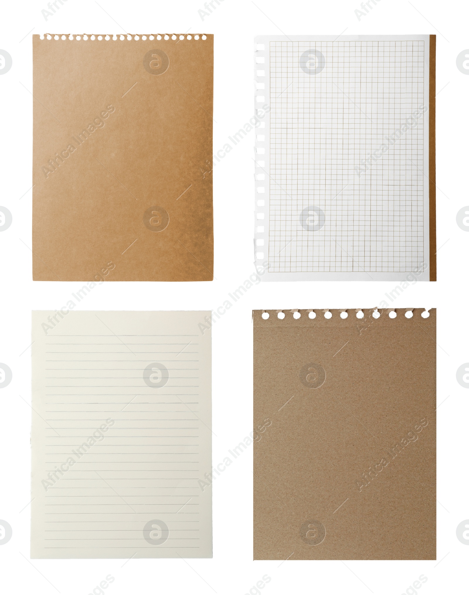 Image of Set of different notebook papers on white background