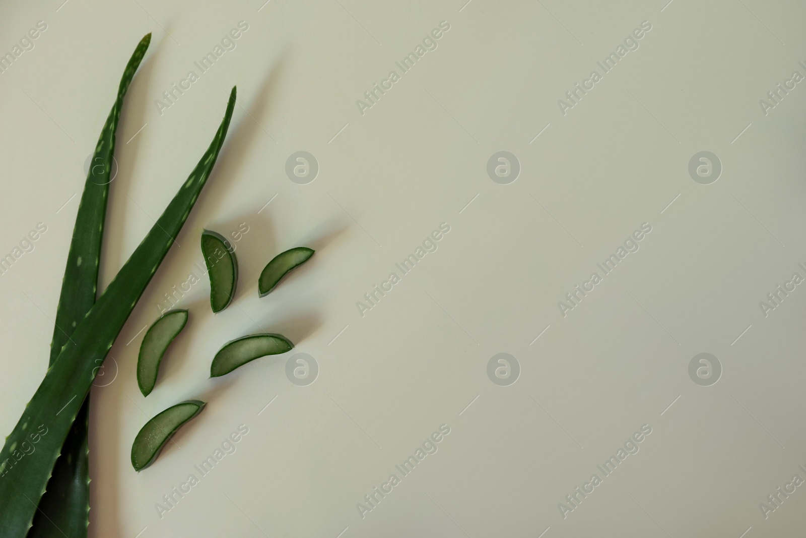 Photo of Green aloe vera leaves on light background, flat lay. Space for text