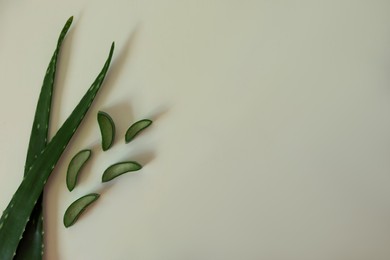 Photo of Green aloe vera leaves on light background, flat lay. Space for text