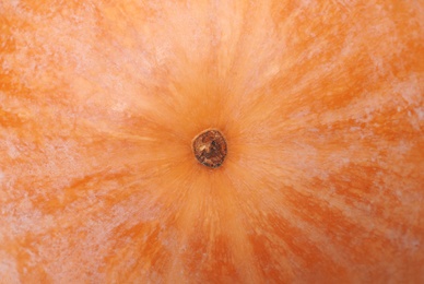 Photo of Ripe orange pumpkin as background, closeup view