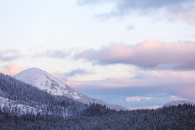 Beautiful mountain landscape with forest in winter