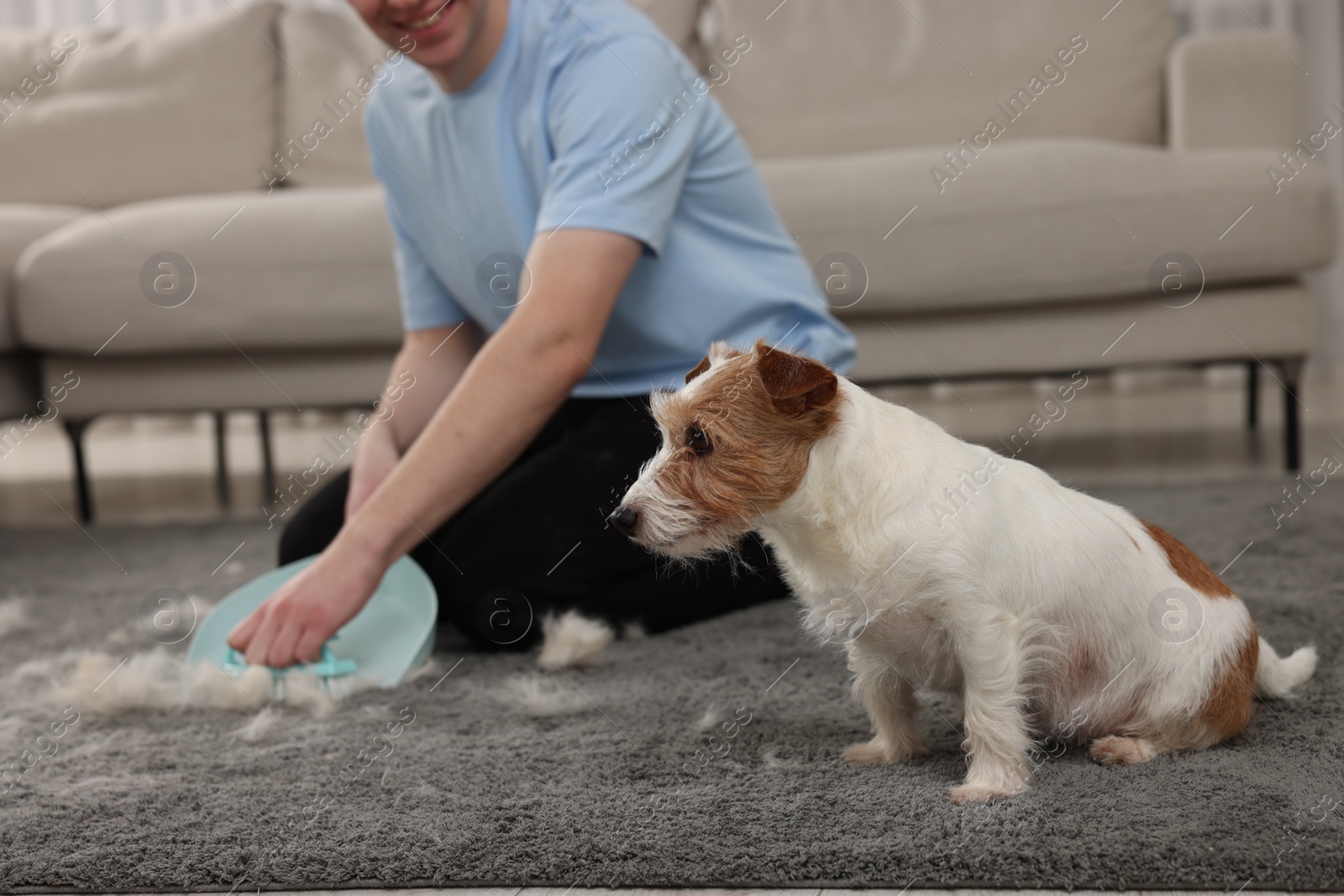 Photo of Man with brush and pan removing pet hair from carpet at home, closeup