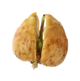 Photo of Small organic avocado seed on white background