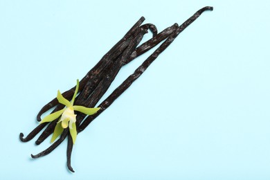 Photo of Vanilla pods and beautiful flower on light blue background, top view. Space for text