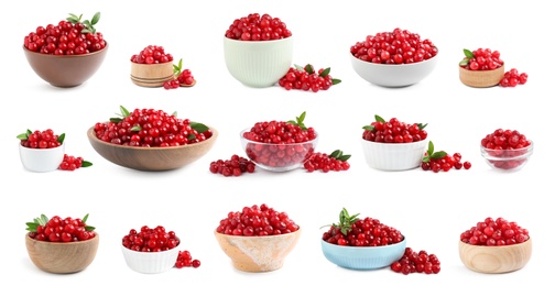 Set of fresh ripe cranberries on white background