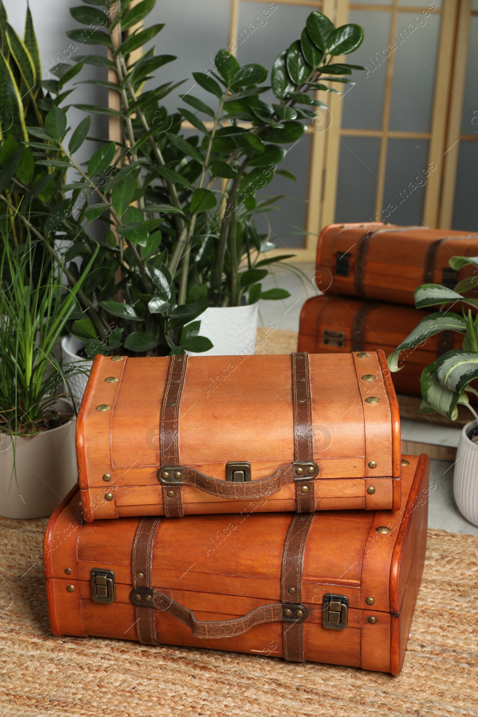 Photo of Beautiful brown stylish suitcases on carpet indoors