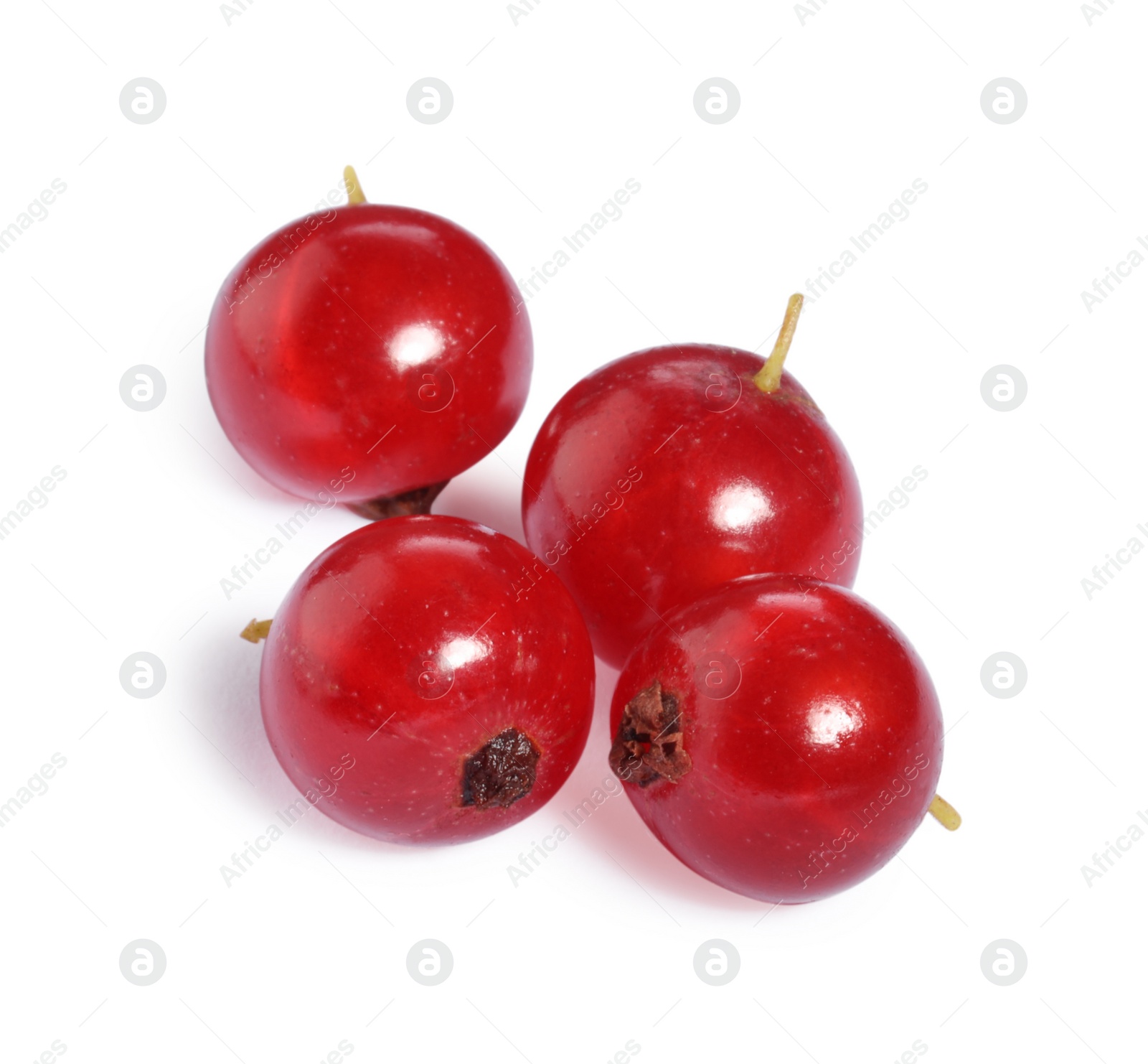 Photo of Fresh ripe red currant berries isolated on white