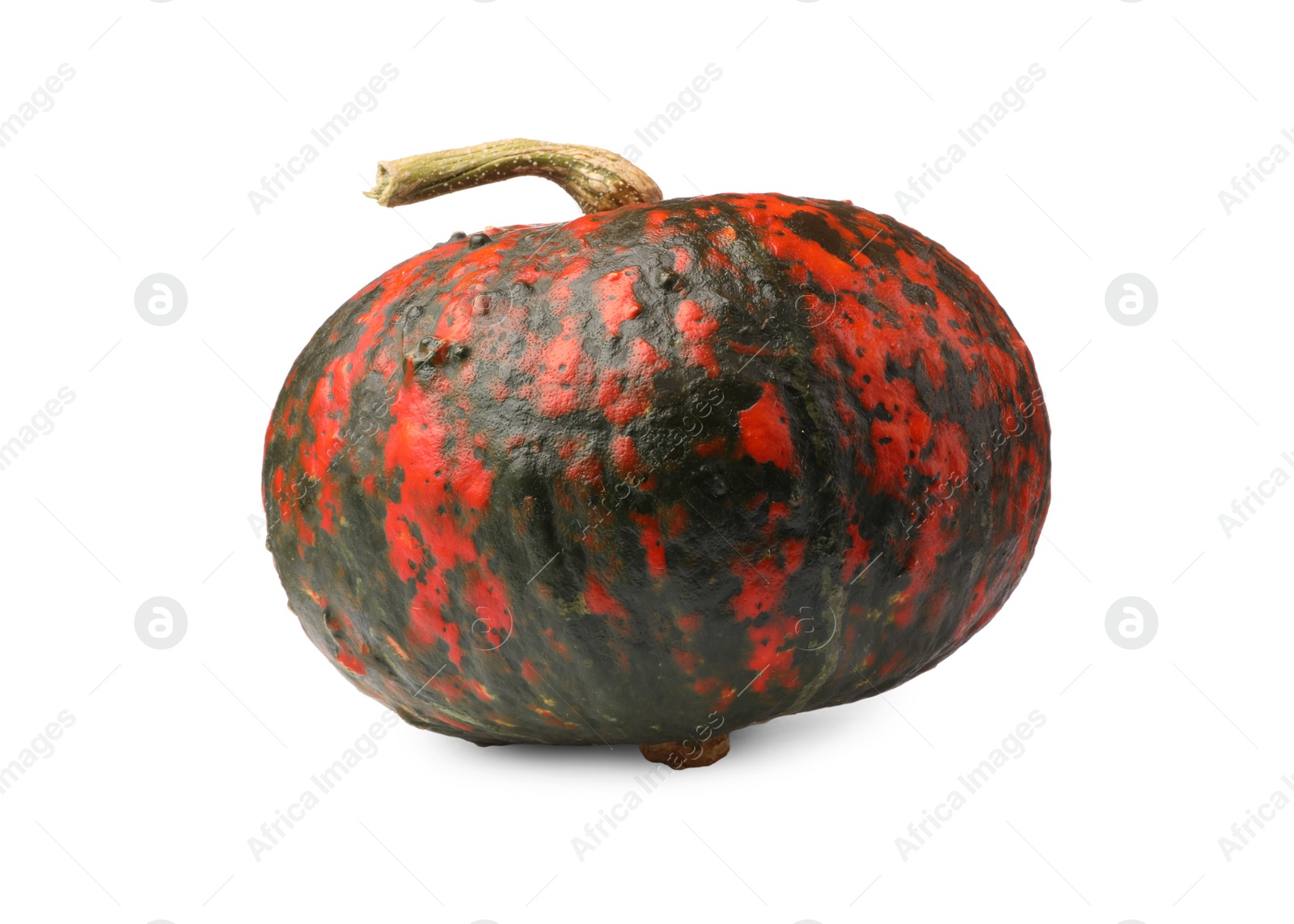 Photo of One fresh ripe pumpkin isolated on white