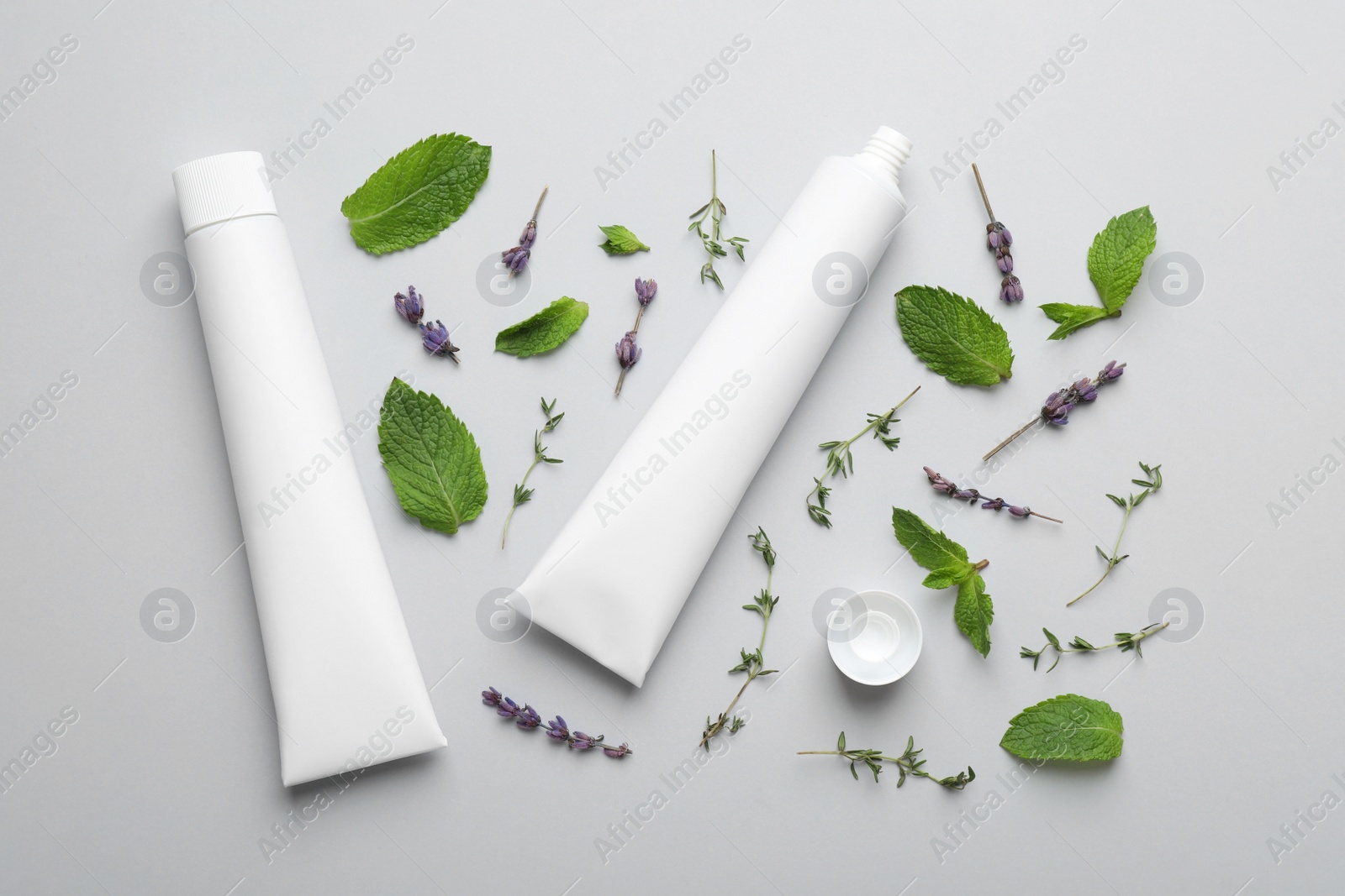 Photo of Blank tubes of toothpaste, mint, thyme and lavender flowers on white background, flat lay