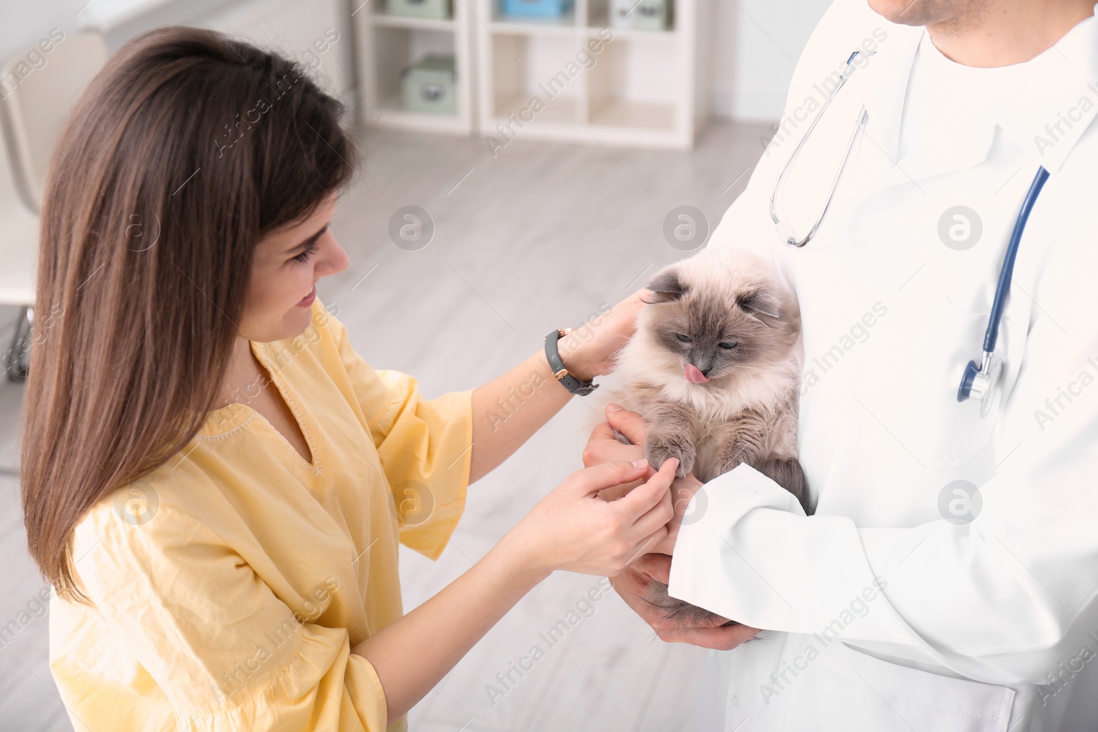 Photo of Young woman with cat and veterinarian in clinic