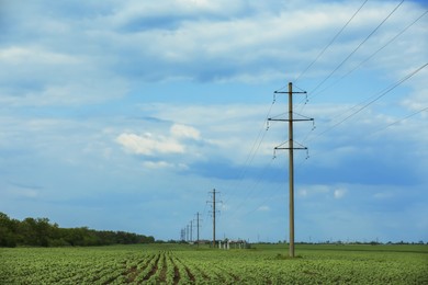 Photo of Field with telephone poles under cloudy sky