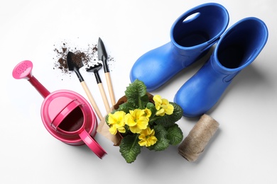 Photo of Composition with gardening equipment on white background, top view