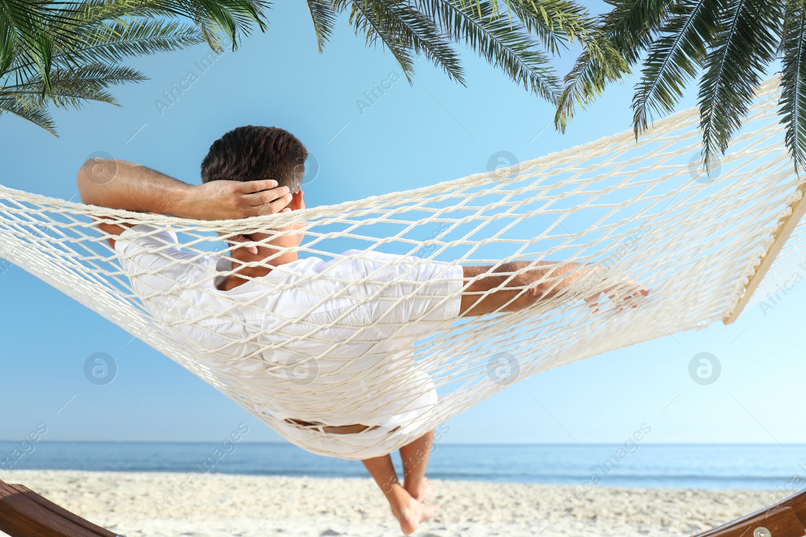 Image of Man relaxing in hammock under green palm leaves on sunlit beach