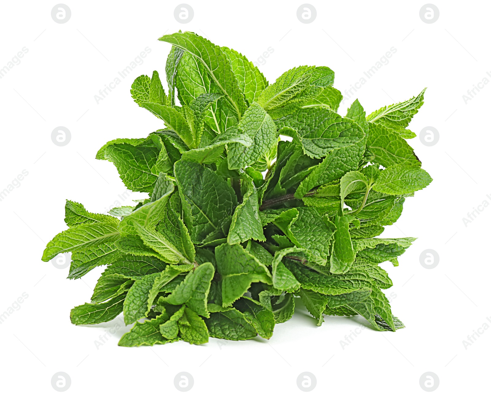 Photo of Fresh green mint leaves on white background