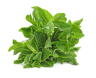 Fresh green mint leaves on white background