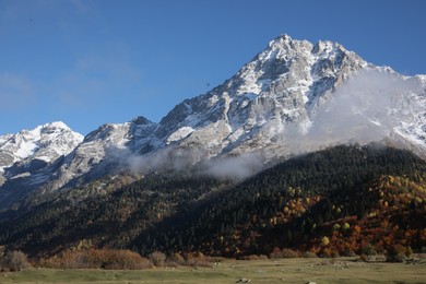 Picturesque view of mountains with forest covered by mist and meadow on autumn day