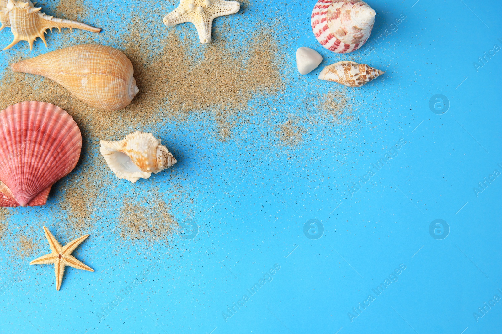 Photo of Beautiful starfishes, shells and sand on blue background, flat lay. Space for text