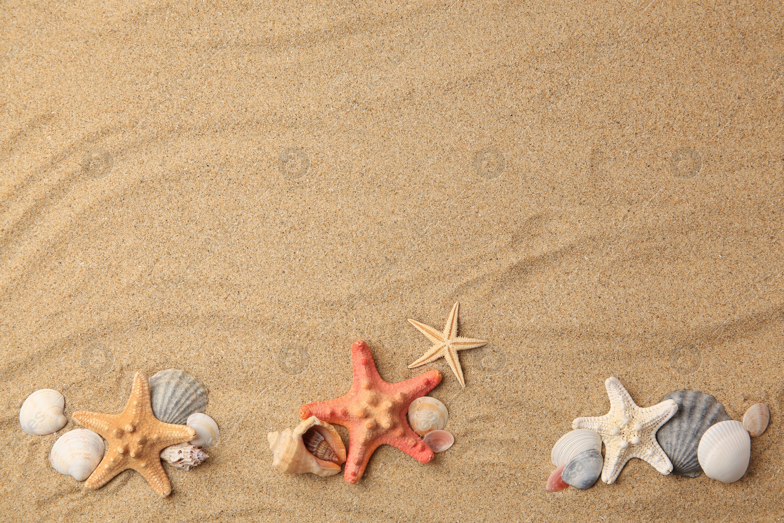 Photo of Beautiful sea stars and shells on sand, flat lay. Space for text