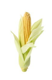 Photo of Ripe raw corn cob with husk isolated on white