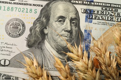 Photo of Dollar banknotes and wheat ears, closeup. Agricultural business