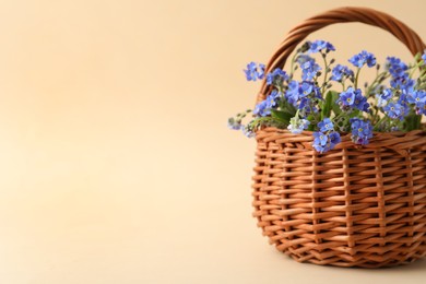 Beautiful blue forget-me-not flowers in wicker basket on beige background. Space for text