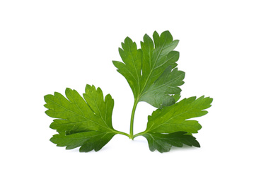 Photo of Aromatic fresh green parsley isolated on white