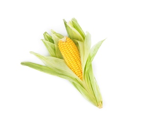 Photo of Ripe raw corn cob with husk isolated on white