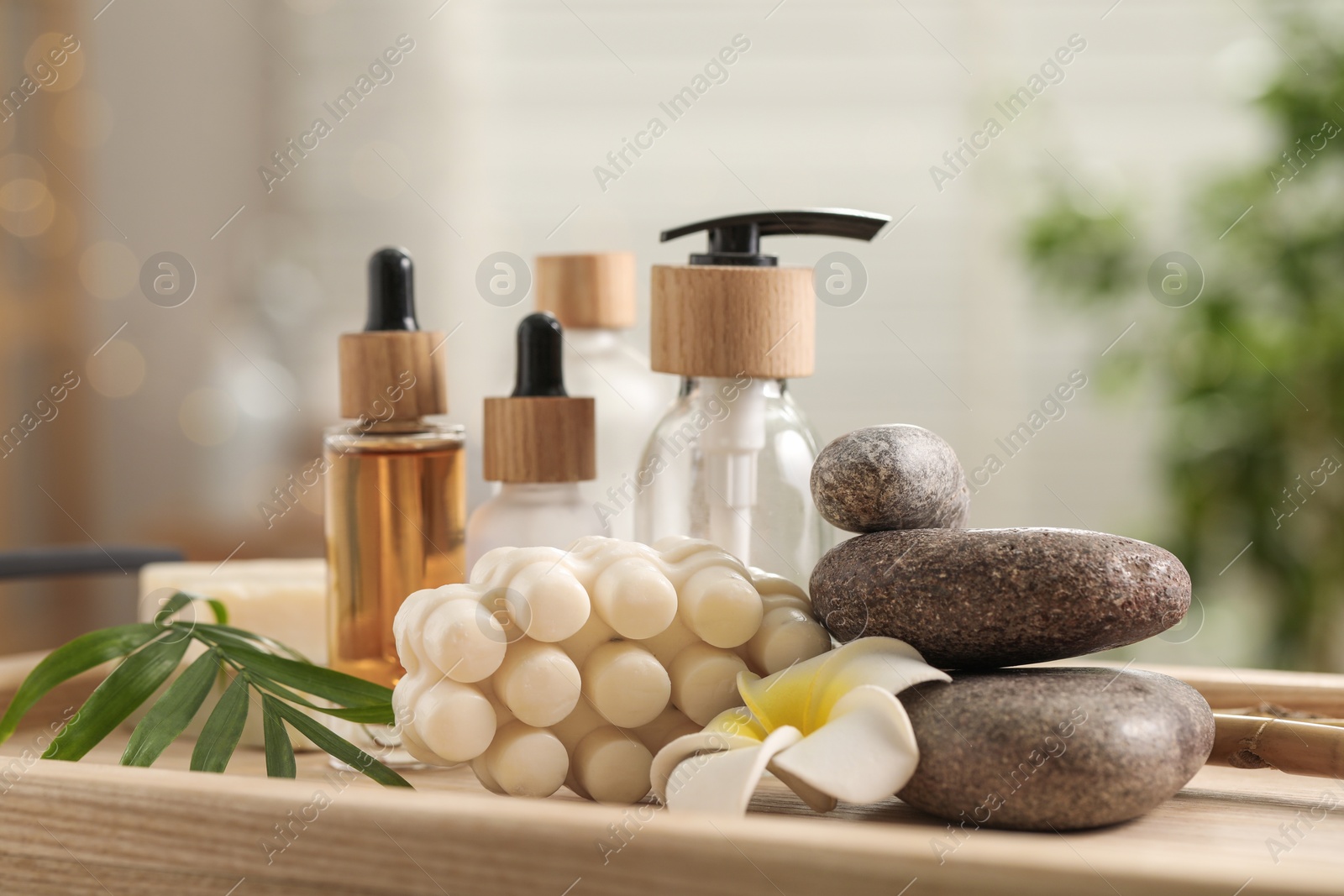 Photo of Composition with different spa products and plumeria flower on tray indoors