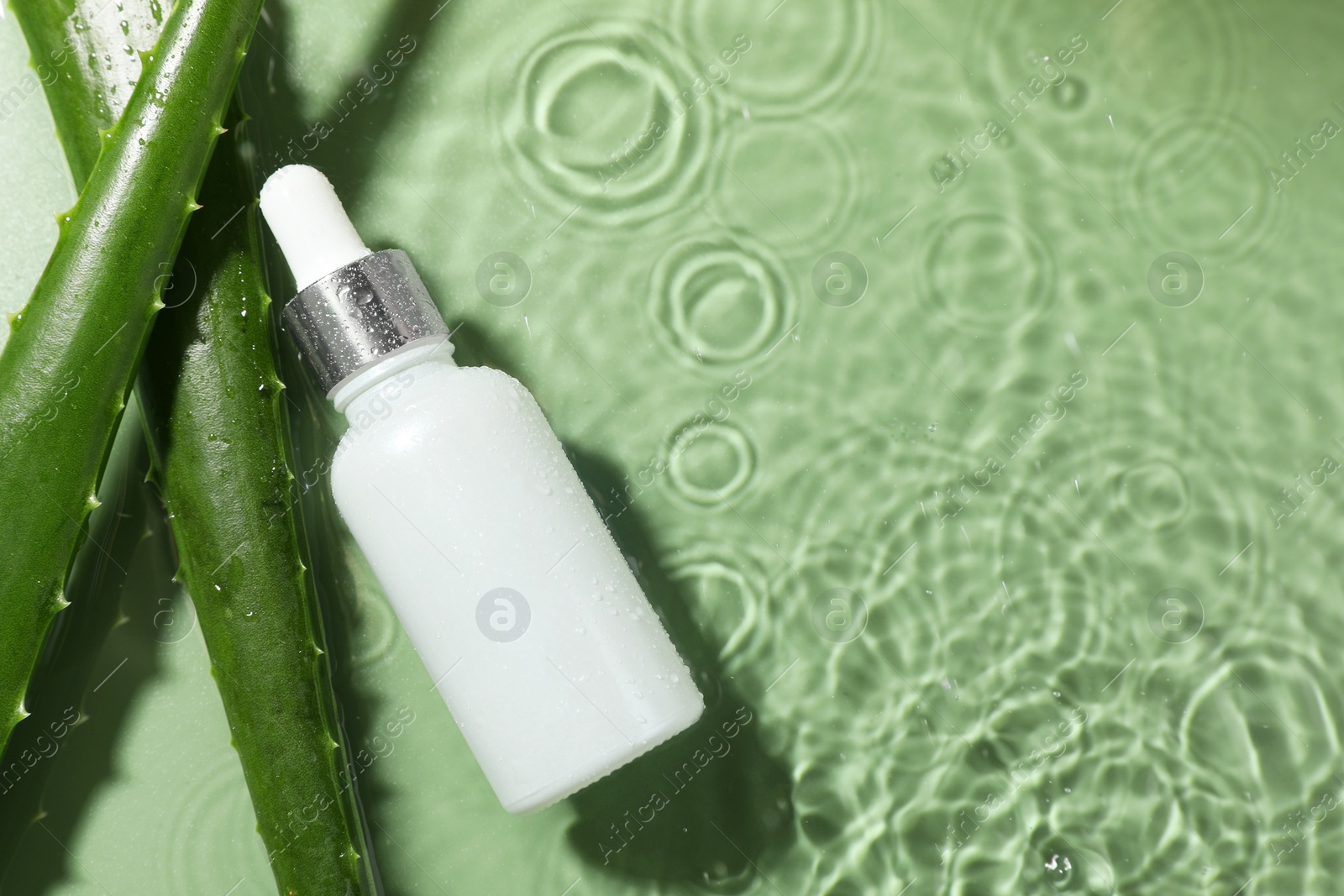 Photo of Bottle of cosmetic product and aloe leaves in water on pale green background, flat lay. Space for text