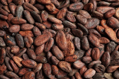 Tasty cocoa beans as background, top view