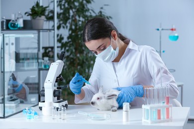 Photo of Scientist with syringe and rabbit in chemical laboratory. Animal testing