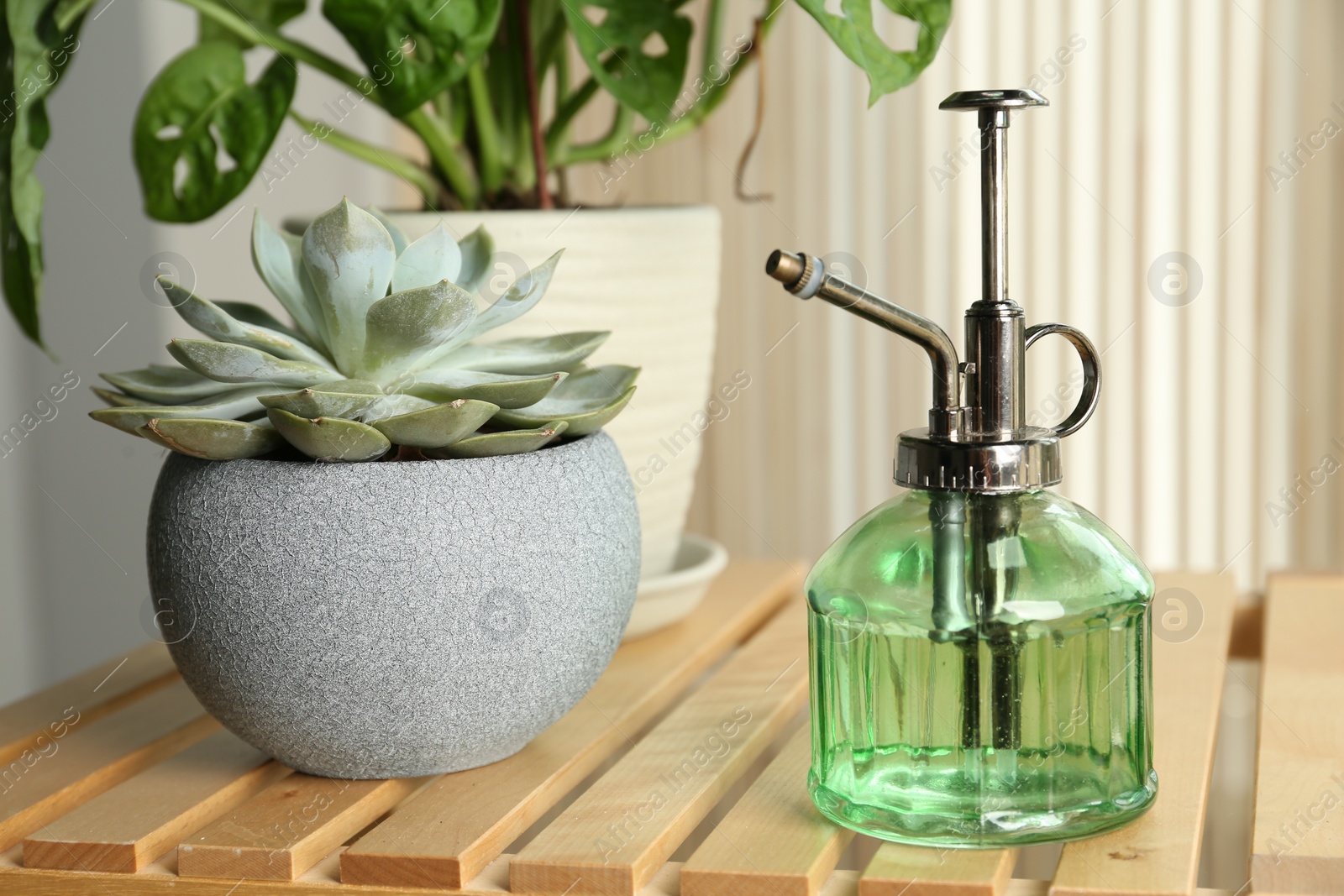 Photo of Mister and potted houseplants on wooden table