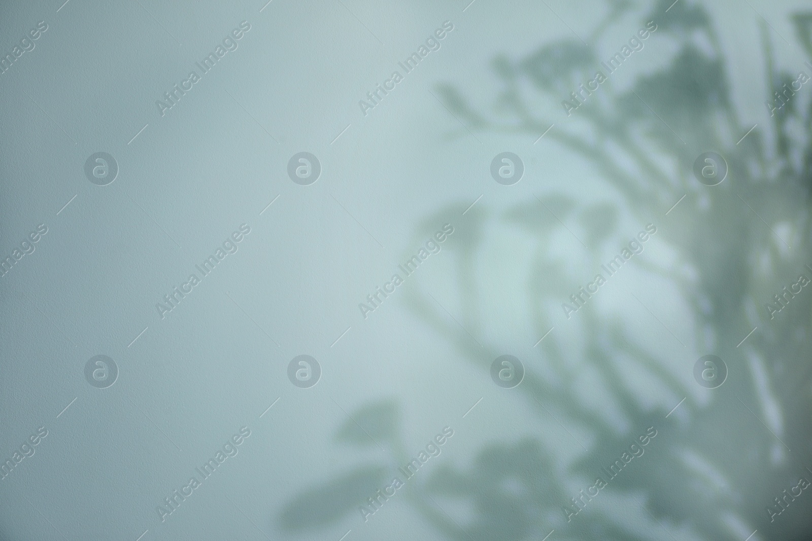 Shadow of plant branches on light background, space for text Photo of Shadow of plant branches on light background, space for text