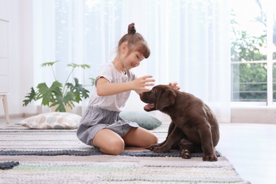 Photo of Adorable chocolate labrador retriever and little girl at home