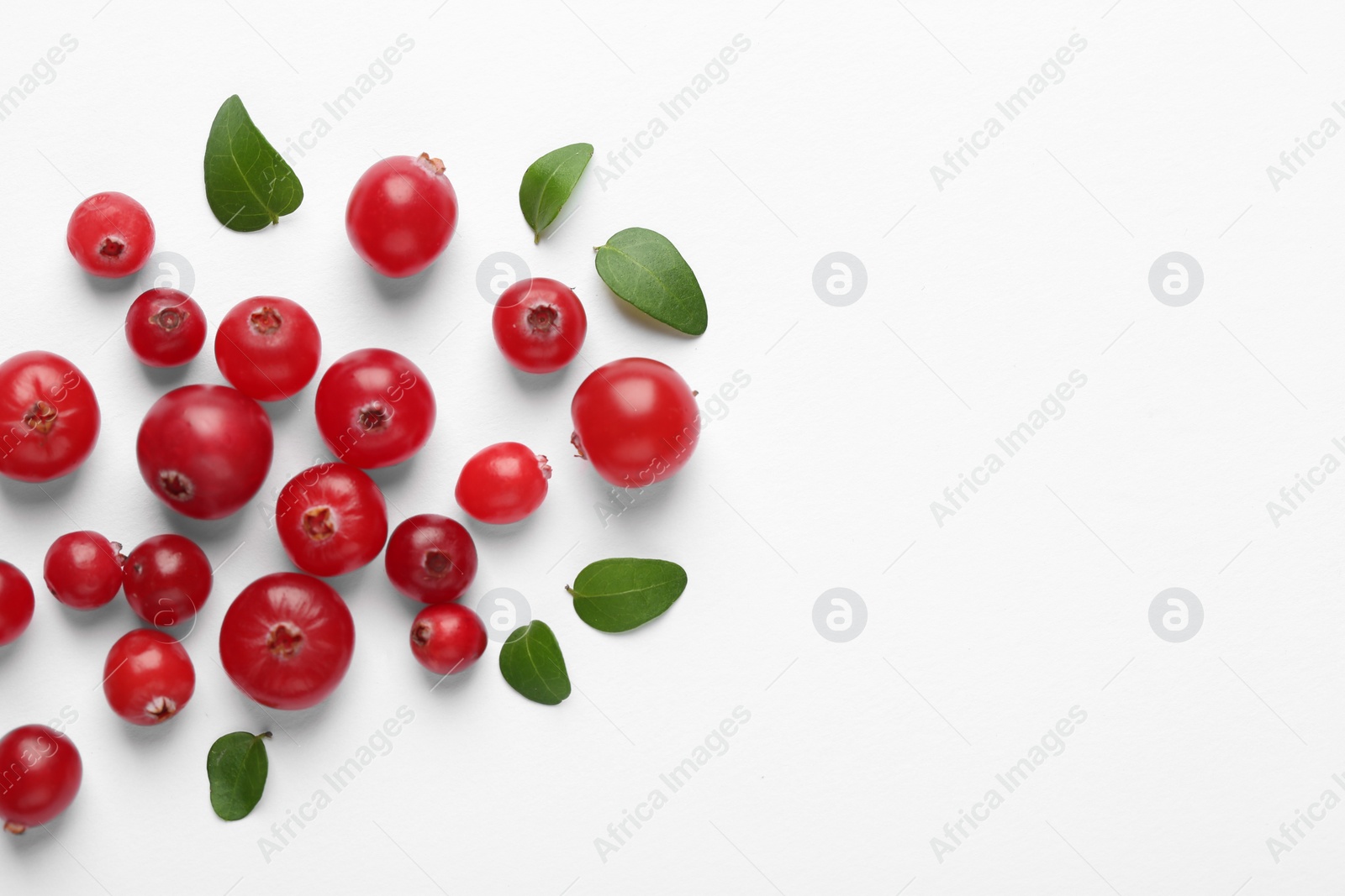 Photo of Fresh ripe cranberries and green leaves on white background, flat lay. Space for text