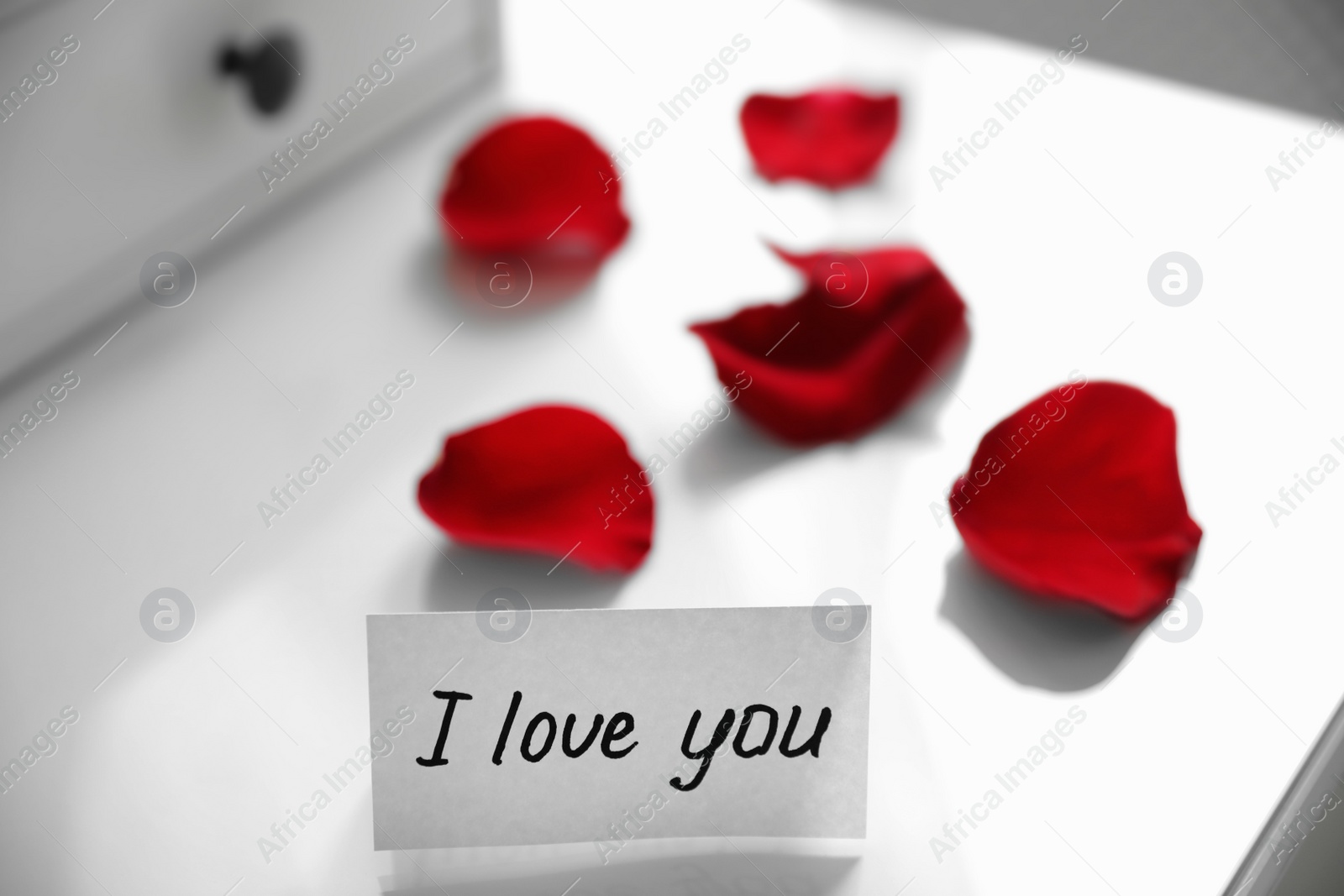 Photo of Paper with text I Love You and rose petals on white table