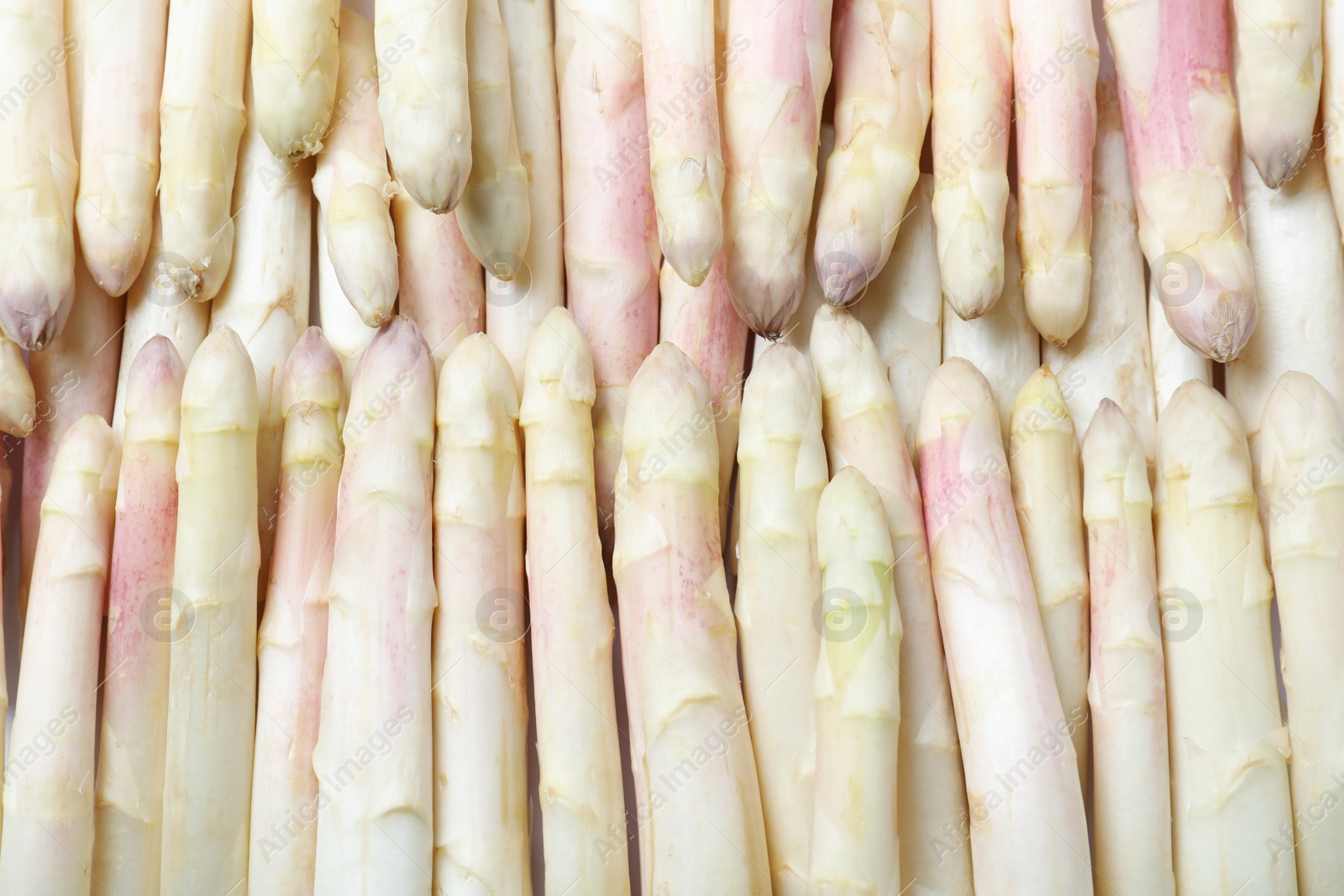 Photo of Fresh ripe white asparagus as background, top view