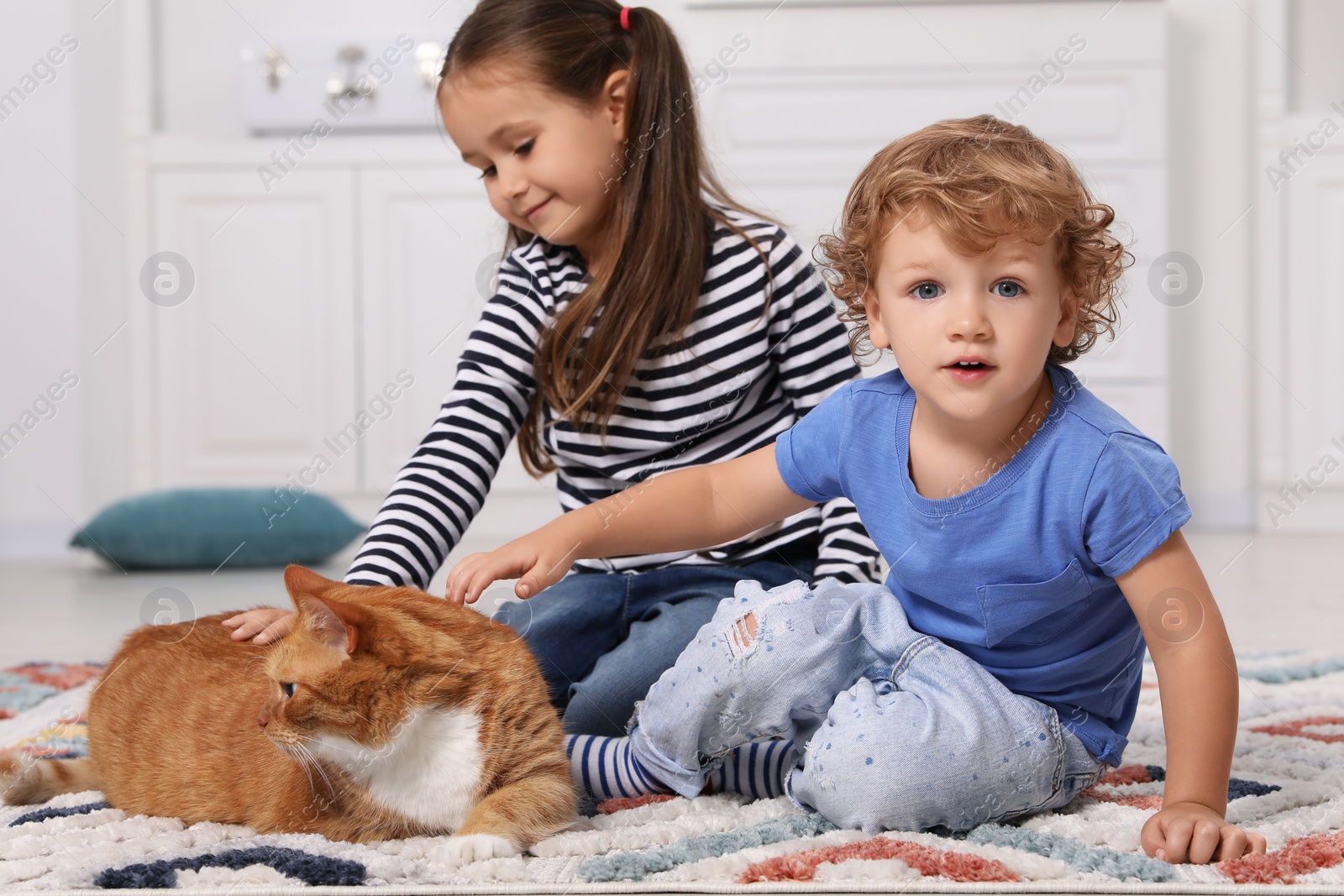 Photo of Little children petting cute ginger cat on carpet at home