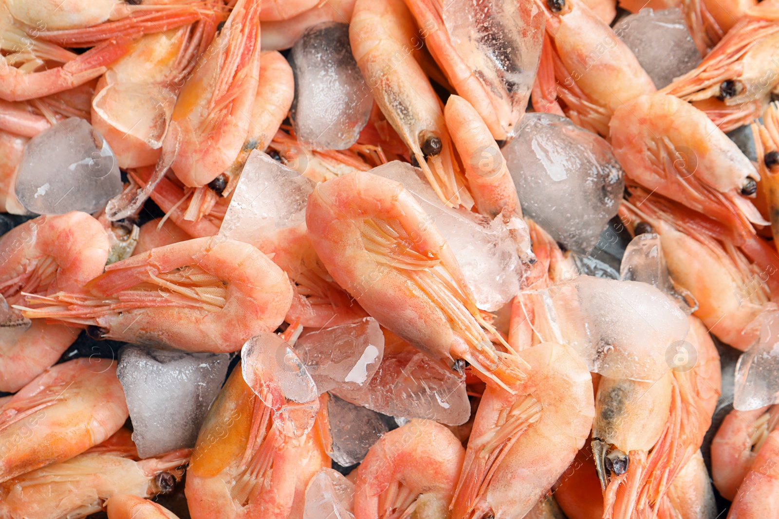 Photo of Fresh raw shrimps with ice, closeup