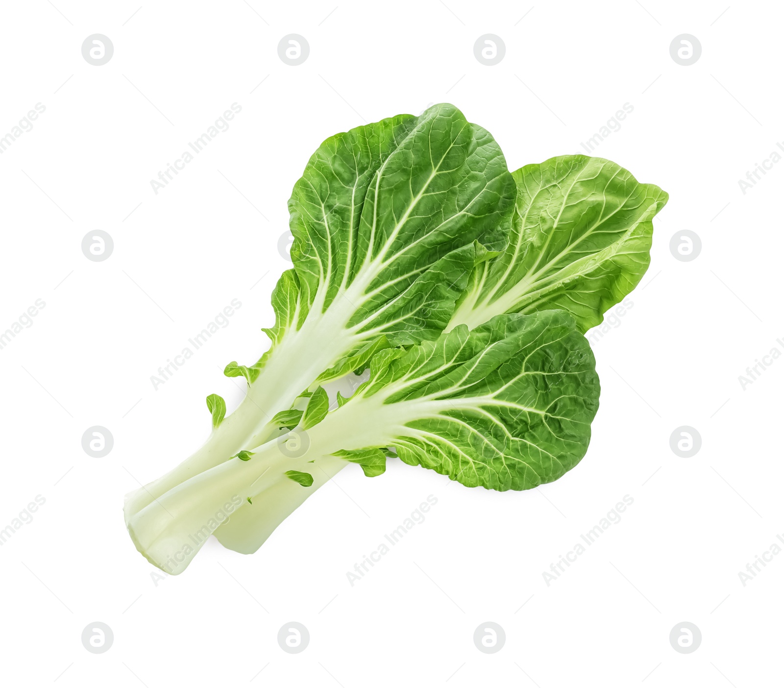 Photo of Fresh leaves of green pak choy cabbage on white background, top view