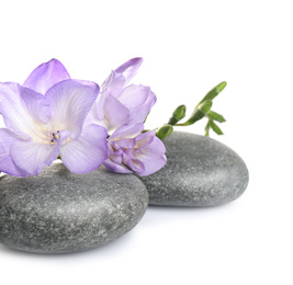 Photo of Spa stones and freesia flowers on white background
