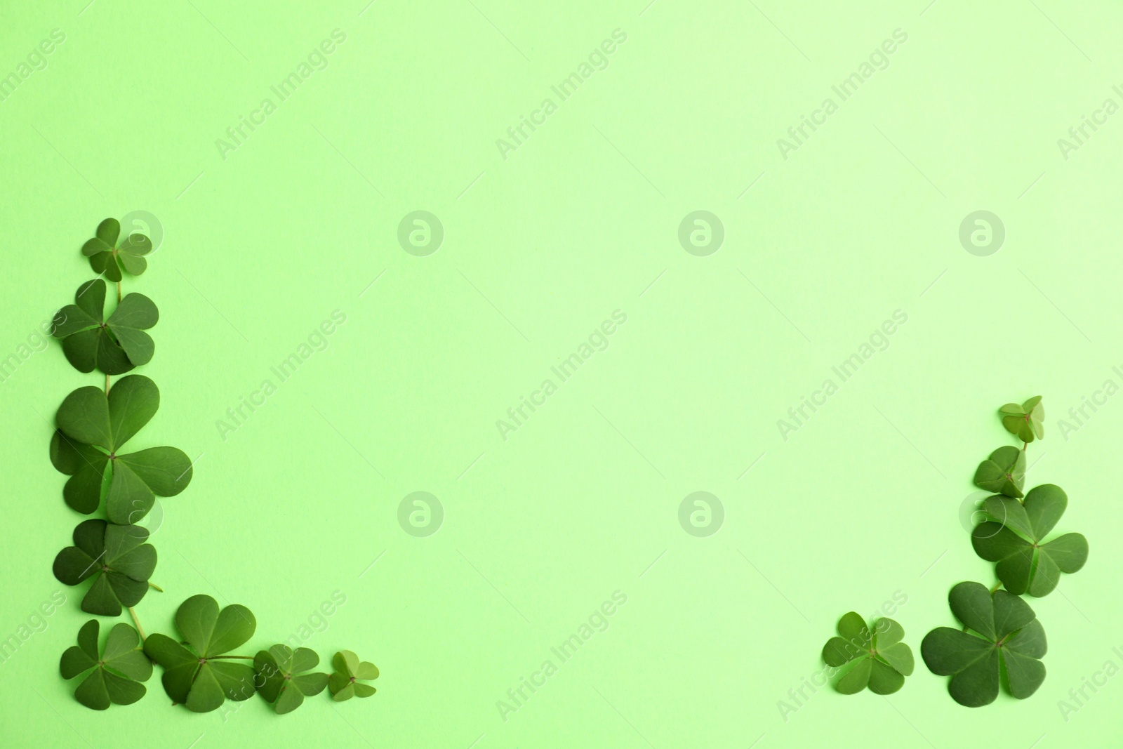 Photo of Clover leaves on green background, flat lay with space for text. St. Patrick's Day symbol