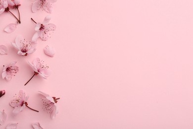 Photo of Beautiful spring tree blossoms and petals on pink background, flat lay. Space for text