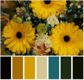 Image of Beautiful fresh flowers and color palette. Collage