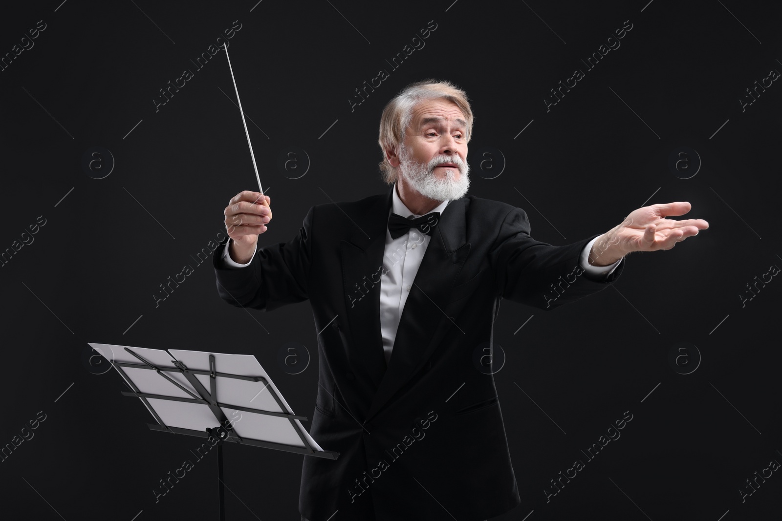 Photo of Professional conductor with baton and note stand on black background