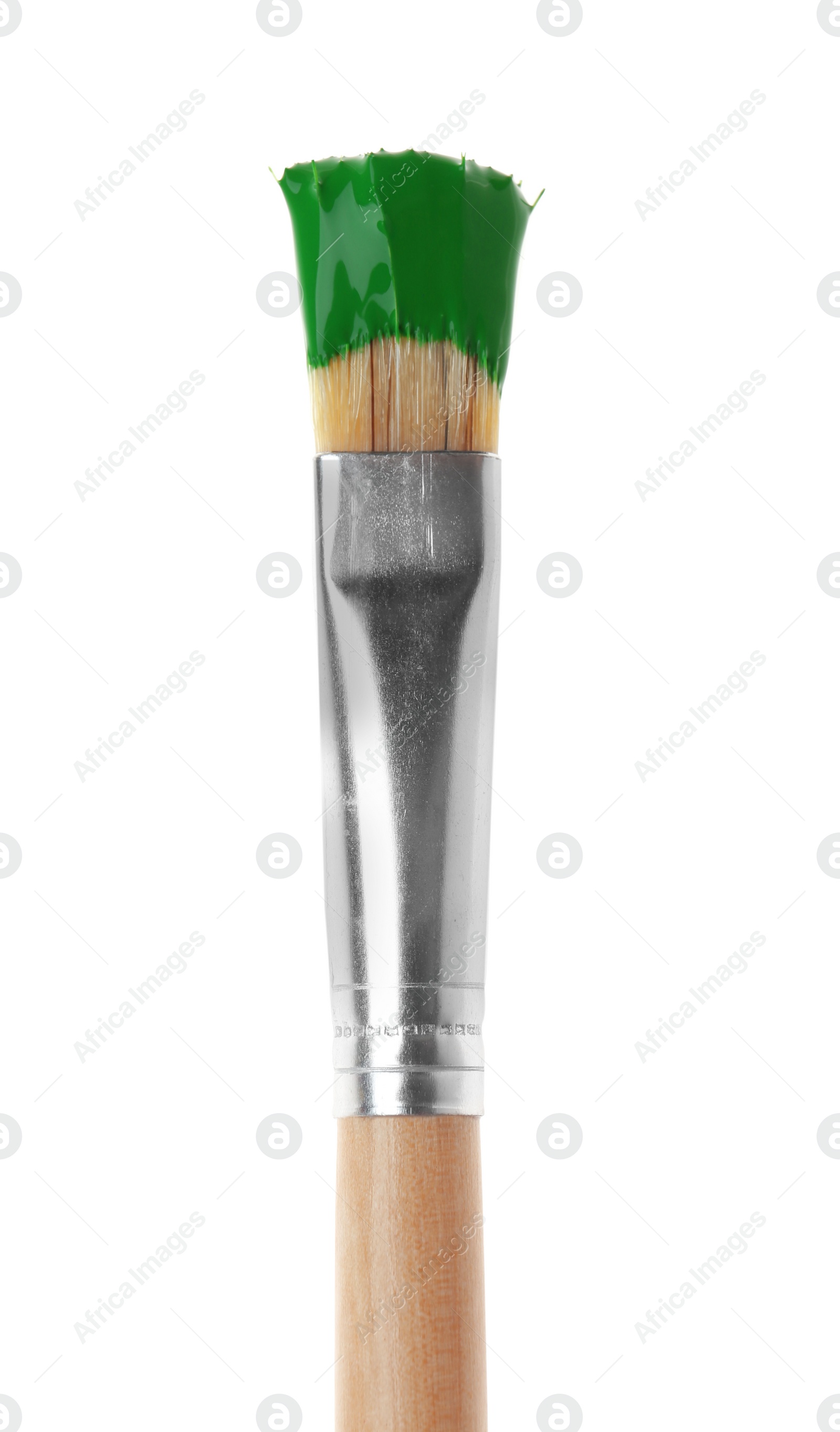 Photo of Brush with green paint on white background