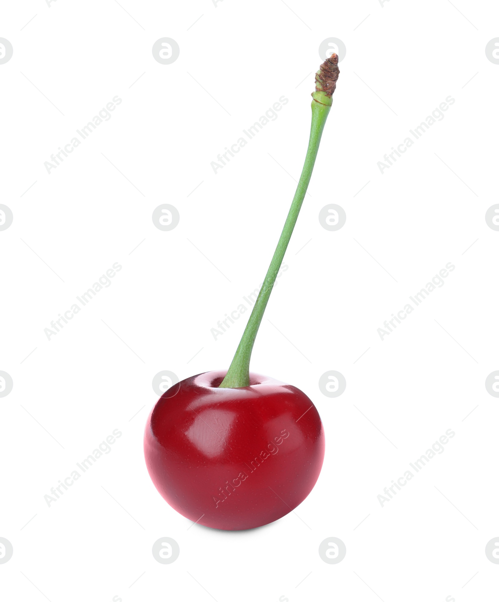 Photo of Sweet red juicy cherry isolated on white