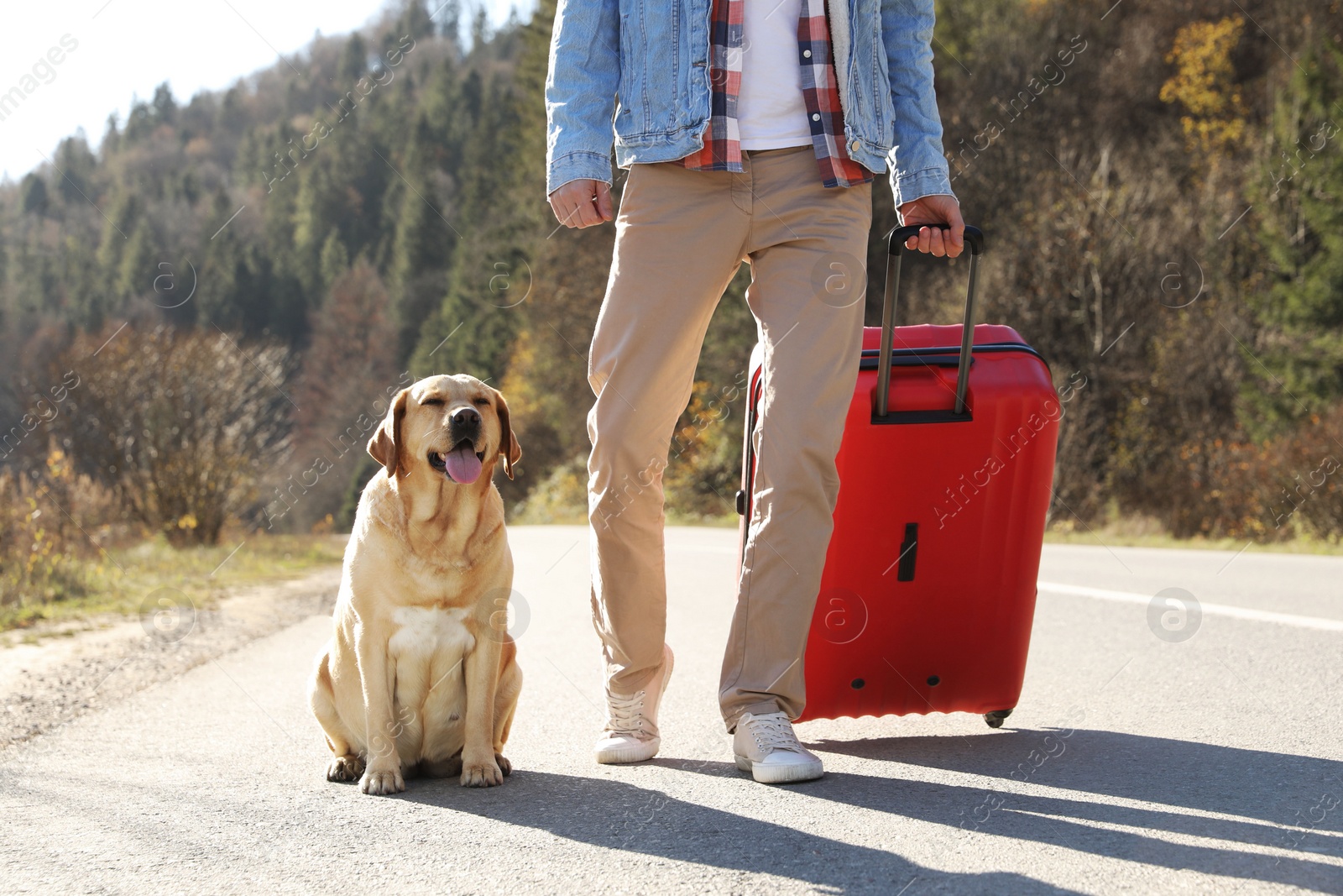 Photo of Man with red suitcase and adorable dog on road, closeup. Traveling with pet