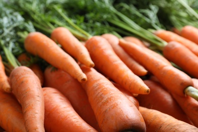 Photo of Pile of tasty raw carrots as background, closeup